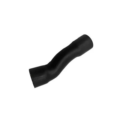 Tubo in silicone E46 N46